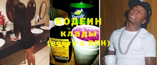 сатива Новодвинск