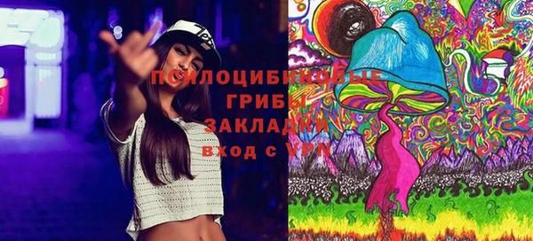 сатива Новодвинск