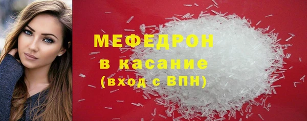 сатива Новодвинск