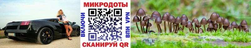 где найти   KRAKEN ссылки  Галлюциногенные грибы GOLDEN TEACHER  Приволжский 
